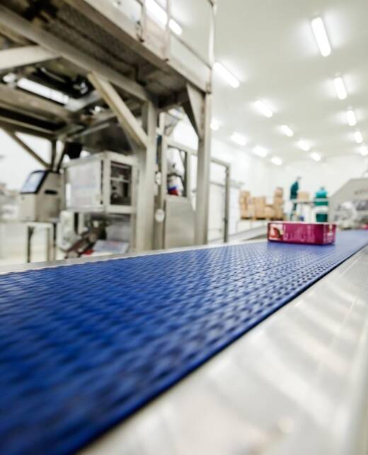 Food industry production line